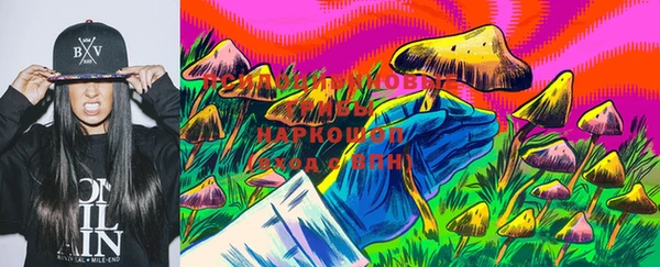 мдма Протвино