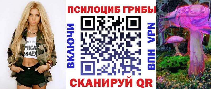 Псилоцибиновые грибы Psilocybine cubensis Свободный