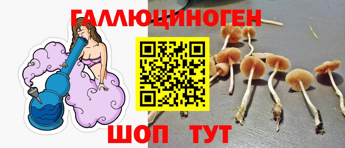 Псилоцибиновые грибы мицелий  хочу наркоту  Свободный  Вход с VPN 
