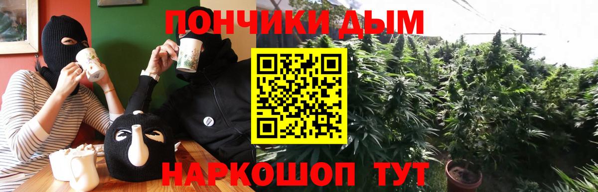 Бошки Шишки семена  Вход с VPN  Канабис SATIVA & INDICA  Свободный  Конопля Bruce Banner 